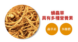 淨斯菌草晶明亮 (60入補充包) Eye Support with Cordyceps Militaris