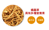 淨斯菌草舒好眠 (60入補充包) Sleep Support with Cordyceps Militaris (Refill Pack)